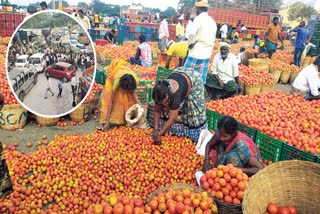 Tomato Prices Fall Down in Kurnool District