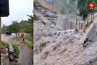 சுருளி மற்றும் கும்பக்கரை அருவிகளில் கடும் வெள்ளப்பெருக்கு