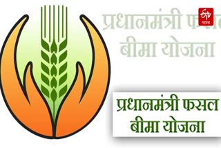 Rabi Crop Insurance