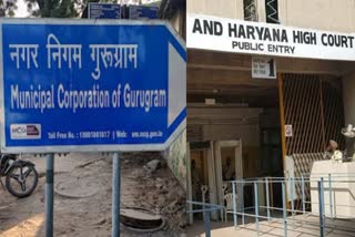 PUNJAB AND HARYANA HIGHCOURT