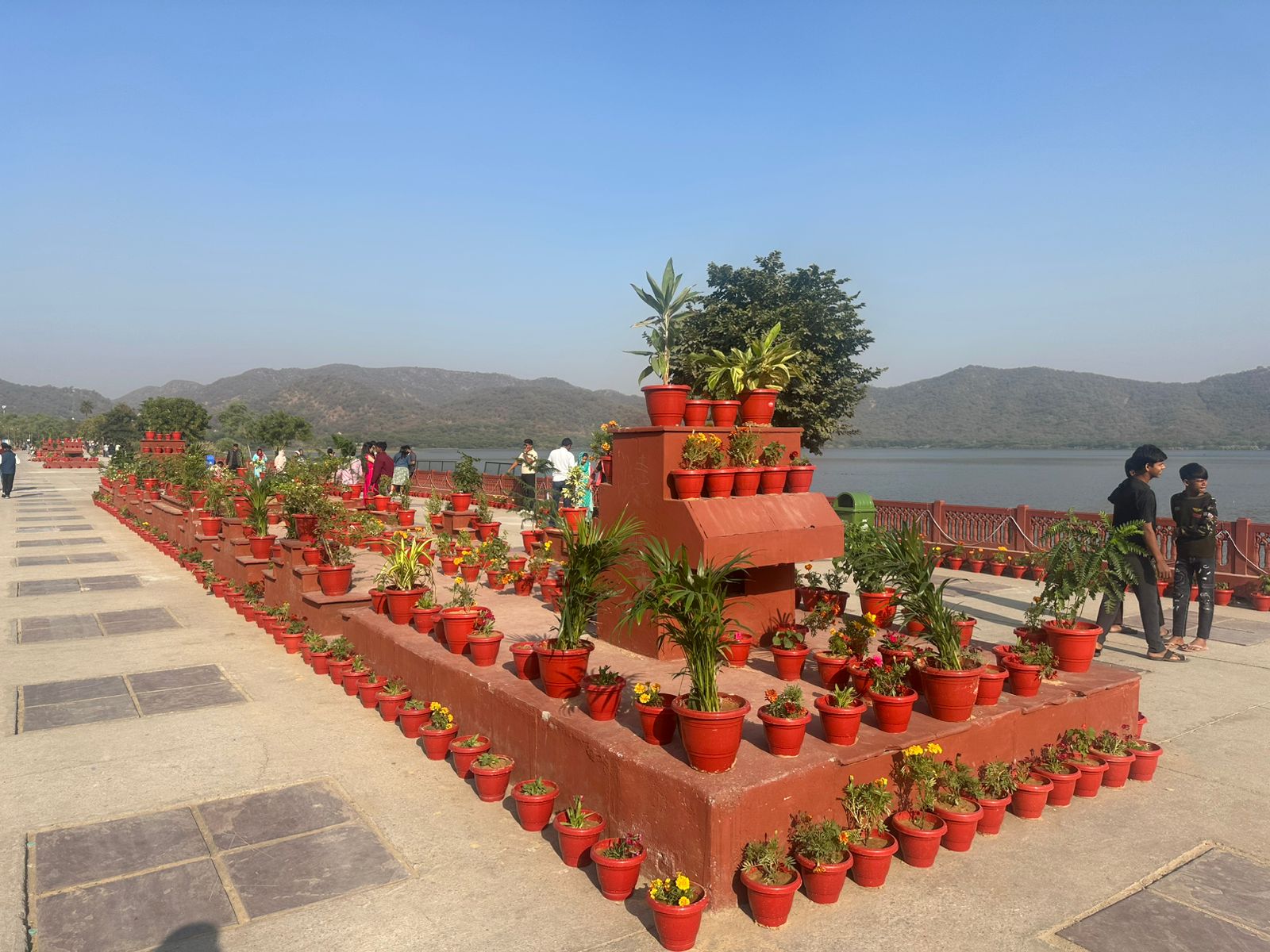 Flower Pots stolen in Jaipur