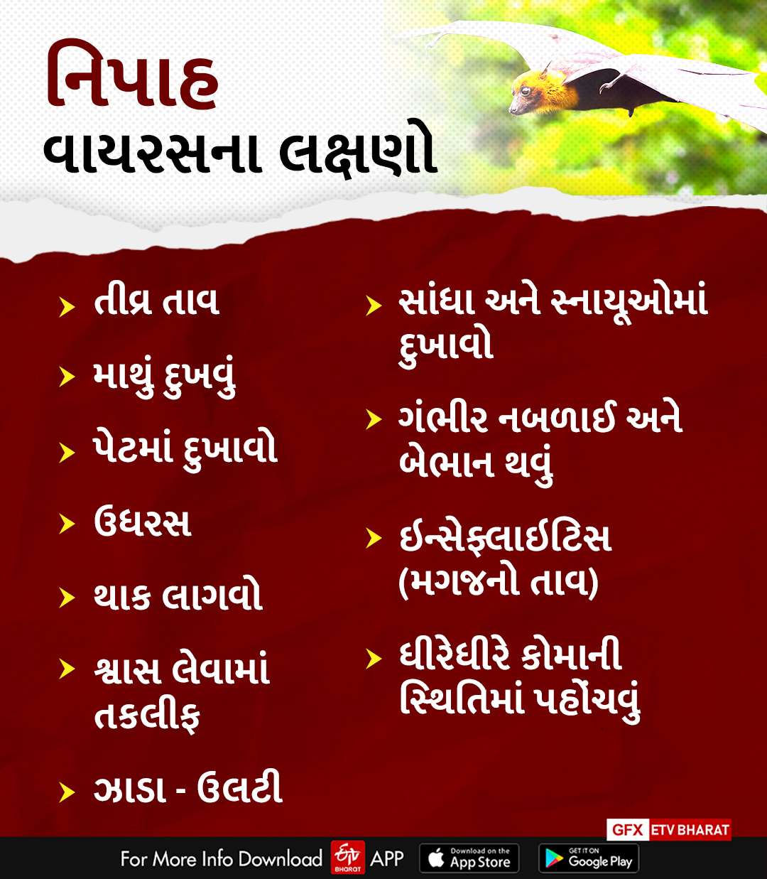 નિપાહ વાયરસના લક્ષણ