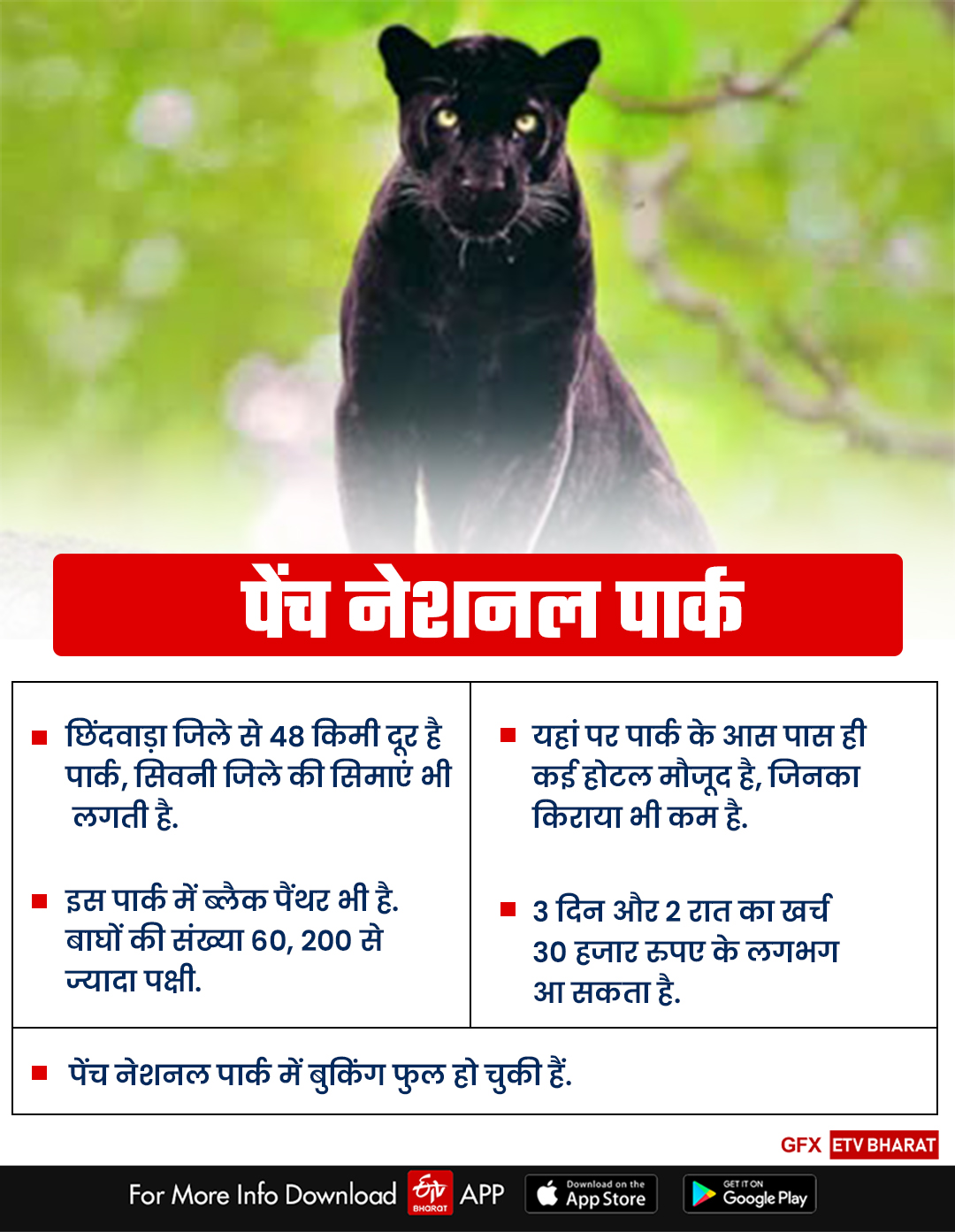 Tourists especially black panthers are found in Pench National Park