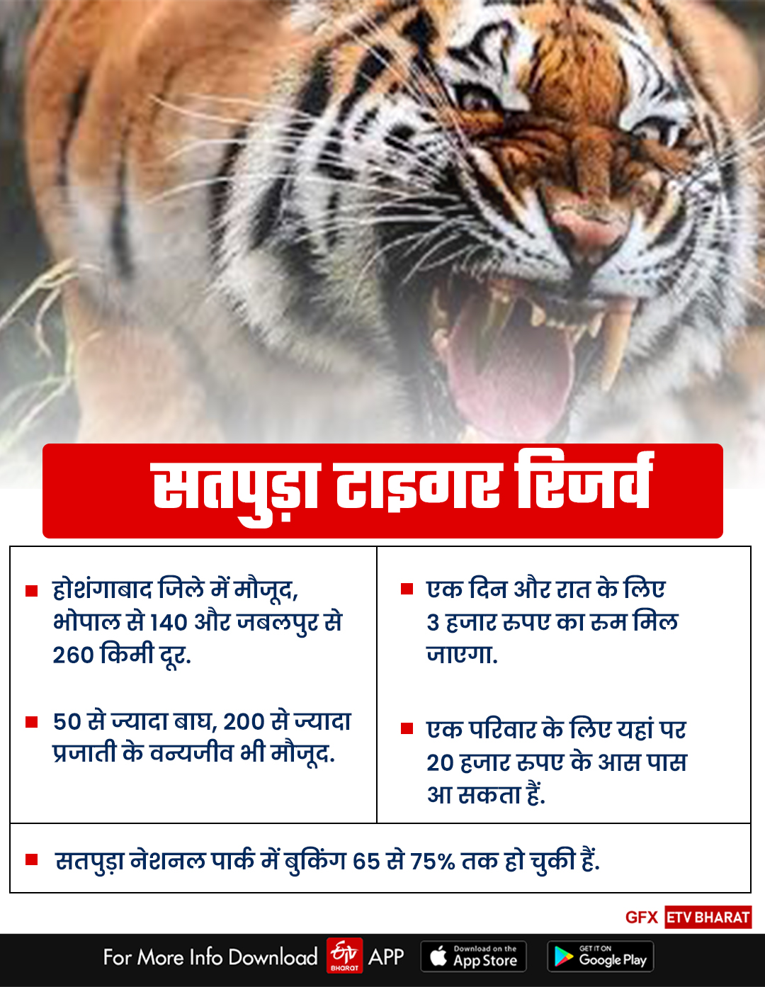 More than 50 tigers and more than 200 species of wildlife in Satpura Tiger Reserve