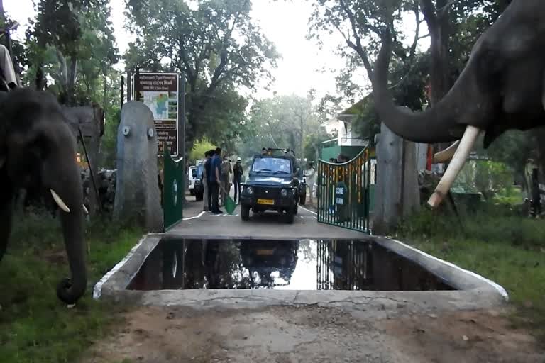 tiger reserve opened