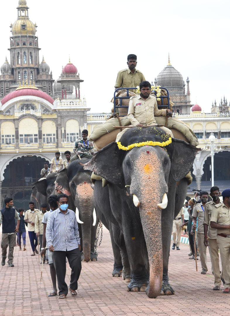 ಗಜಪಡೆಗೆ ಪ್ರತಿದಿನ ತಾಲೀಮು