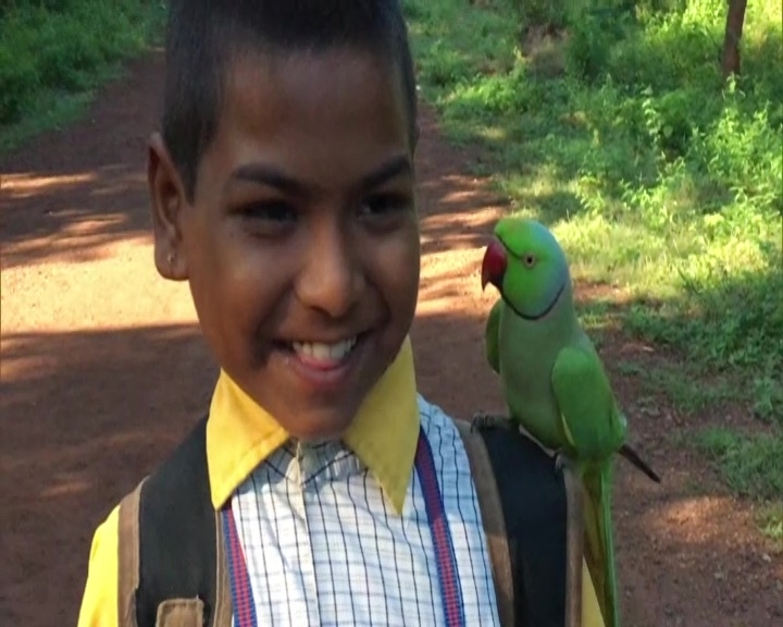 Gwalior school Parrot