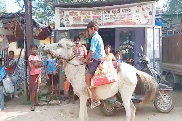 boy  rides horse daily to reach school