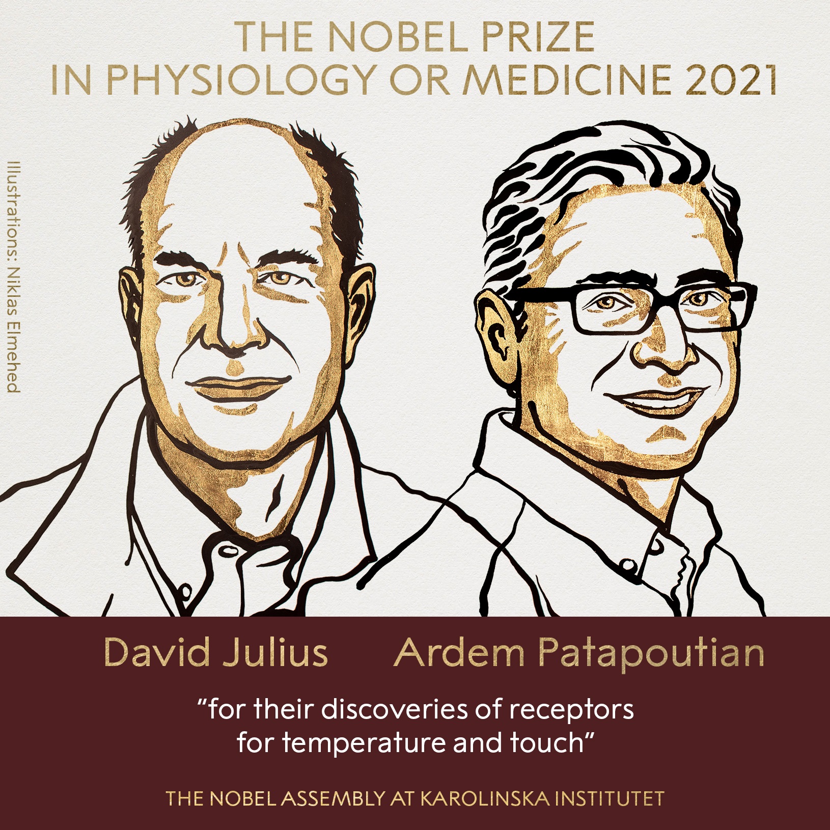 David julius and Ardem wins nobel medicine-2021