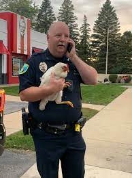 Why did the police have to take custody of the chicken !