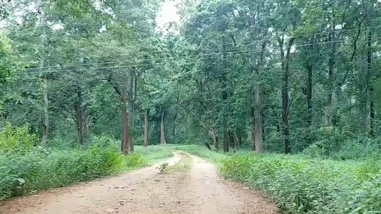 palamu tiger reserve