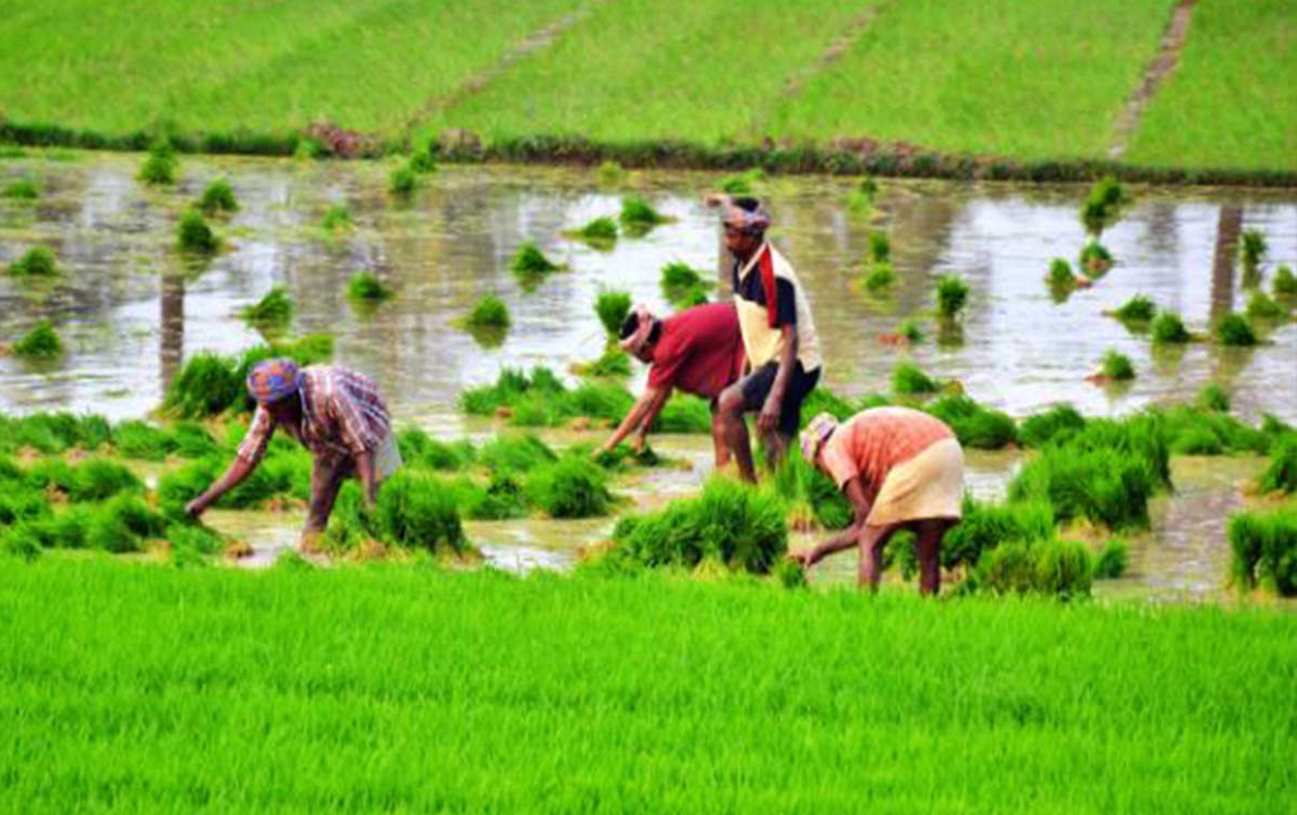 Old Farmers Day