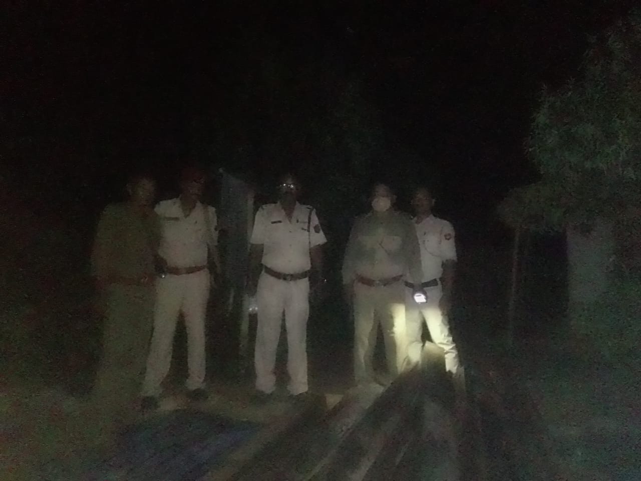 Illegal wood rescued at Dilli Forest Reserve of Sonari Dilli Forest Reserve