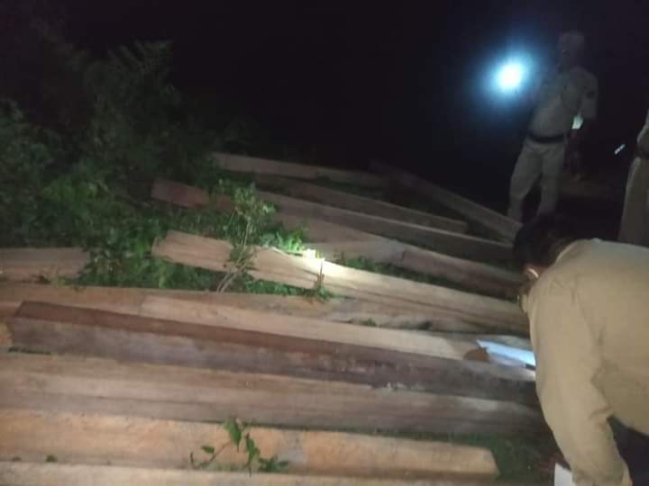 Illegal wood rescued at Dilli Forest Reserve of Sonari Dilli Forest Reserve