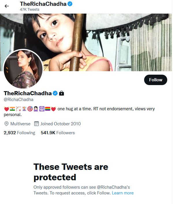 Richa Chadha locks Twitter profile