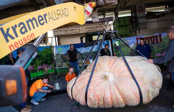 pumpkin weight record