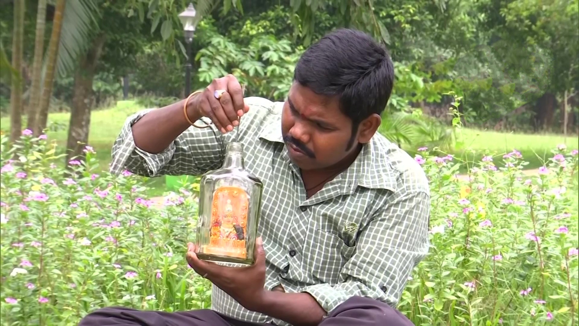 dasara celebrations