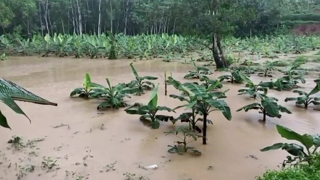 Kerala rains