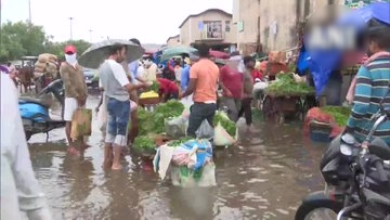 north india rain news