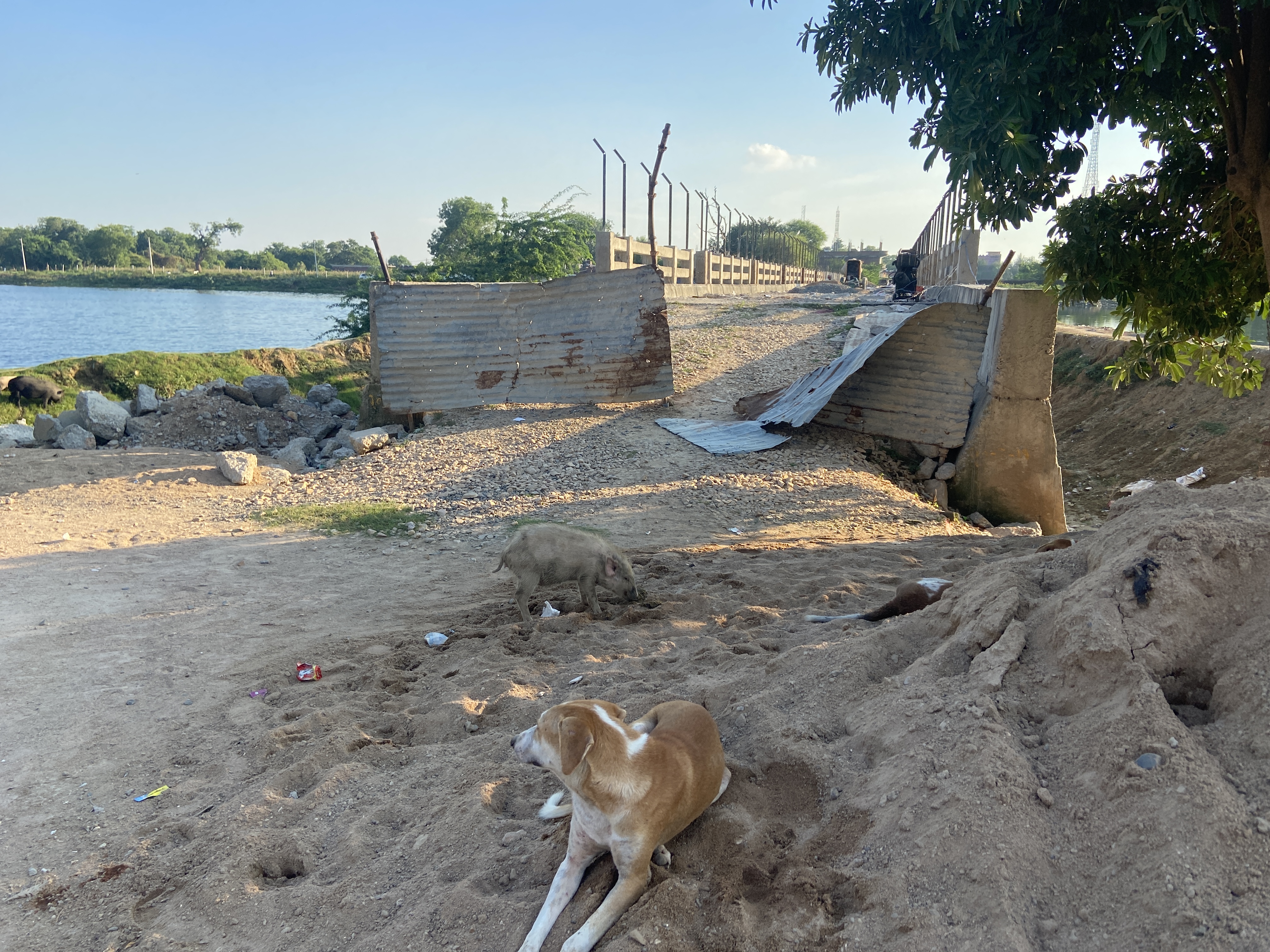 bhind-gouri-sarovar-bridge