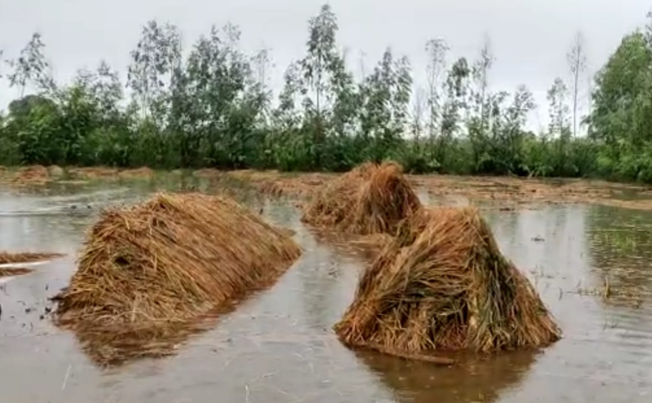 बारिश का कहर