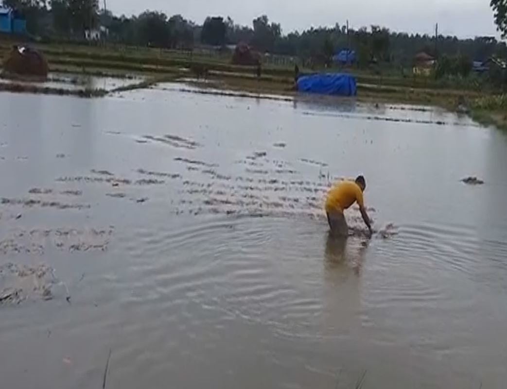 nepal rains