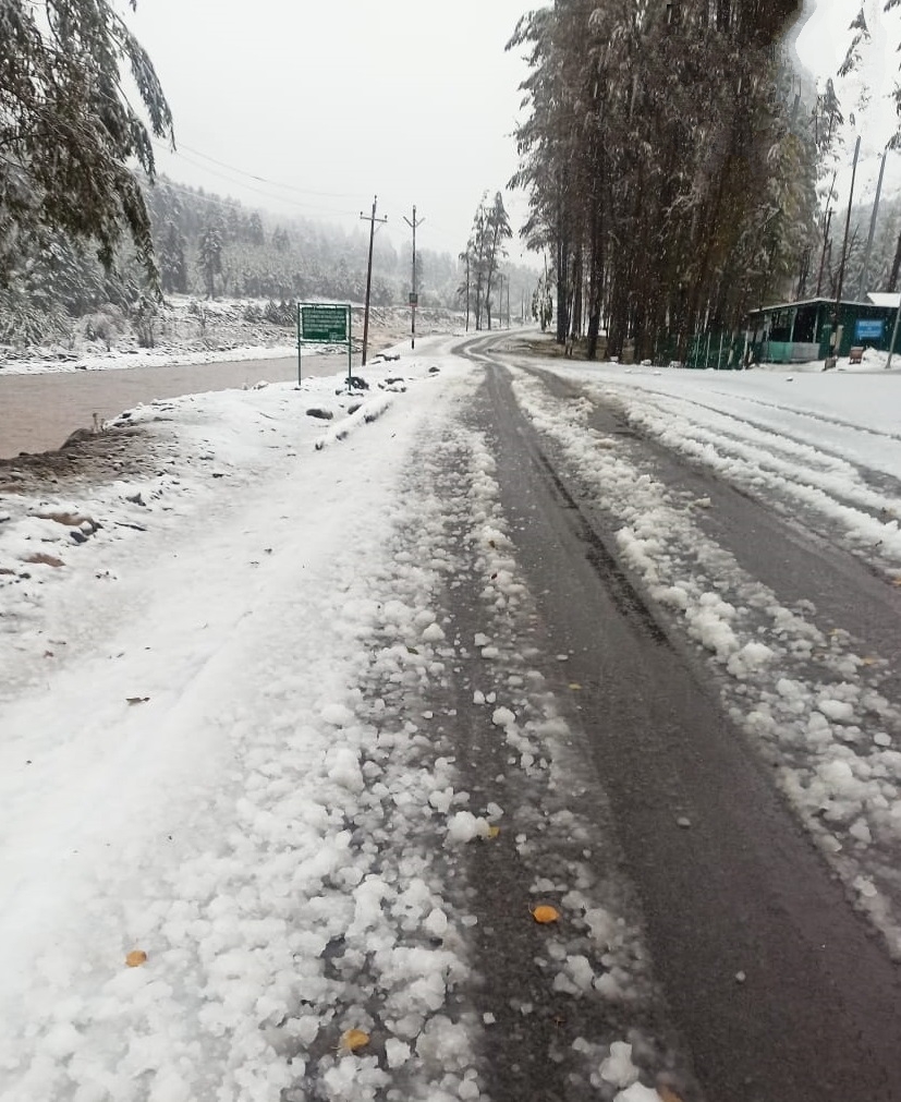 snow fall in kashmir valley