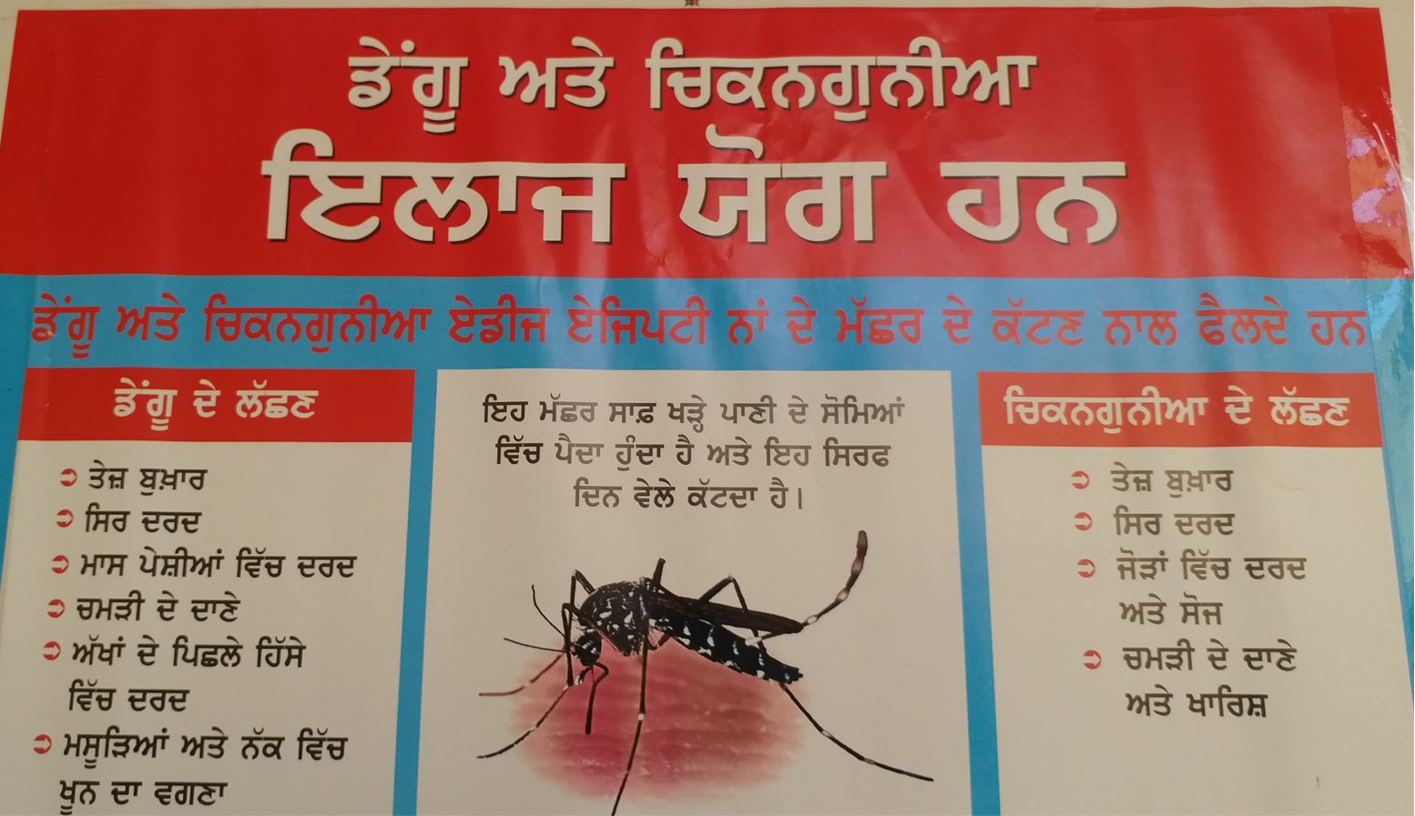 ਸਿਹਤ ਵਿਭਾਗ ਨੇ ਡੇਂਗੂ ਦੀ ਰੋਕਥਾਮ ਲਈ ਲੋਕਾਂ ਨੂੰ ਕੀਤੀ ਇਹ ਅਪੀਲ