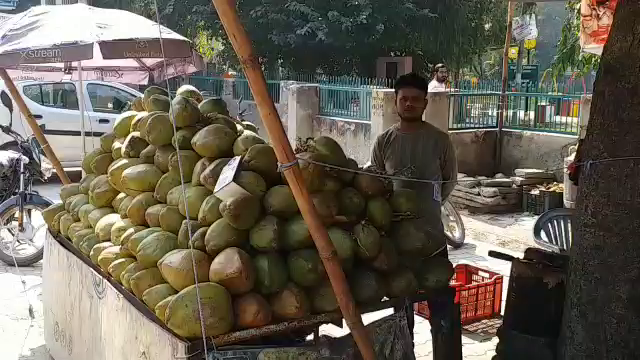 faridabad coconut water price rise