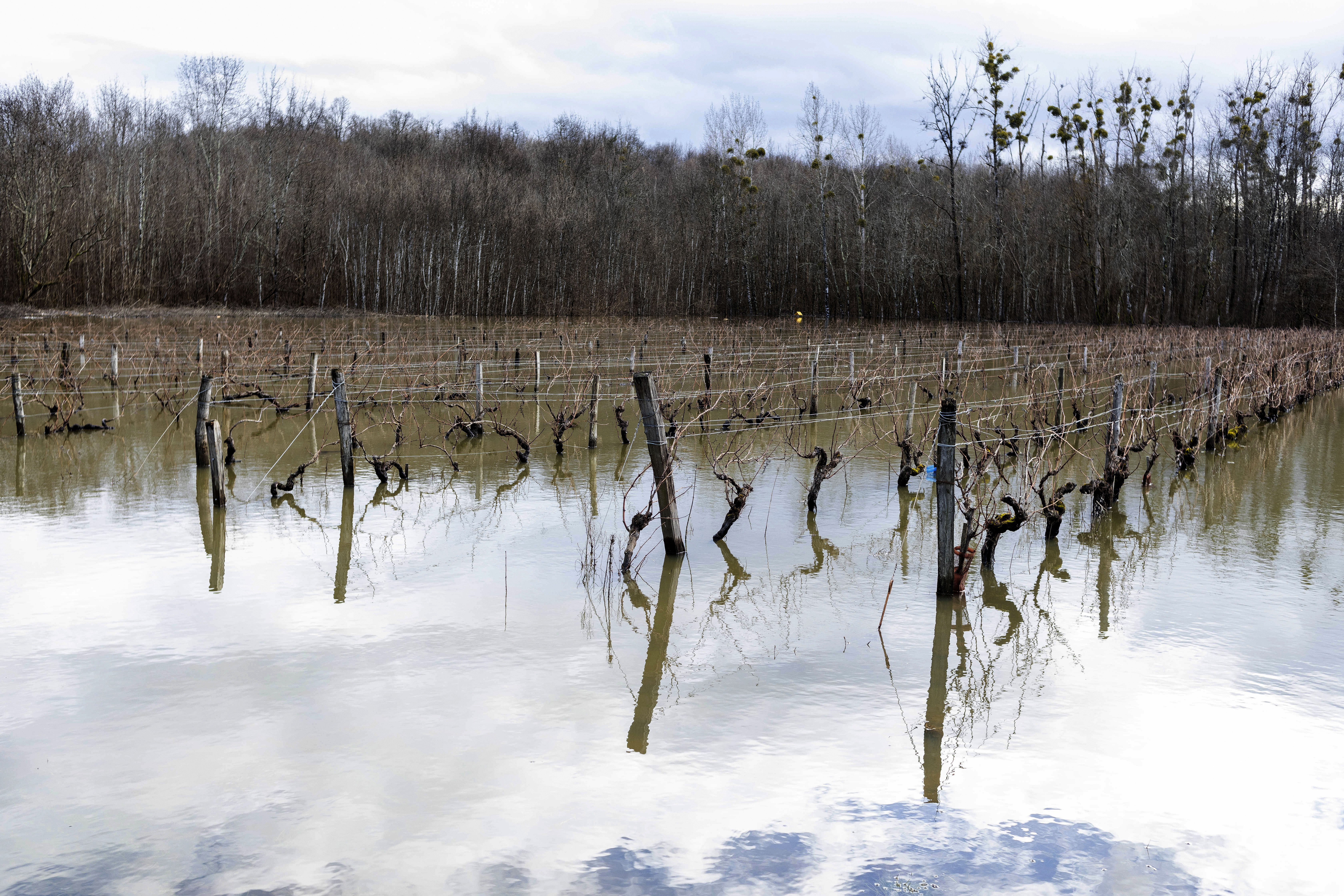 Climate change in 2021 reshaped life on planet Earth through extreme weather