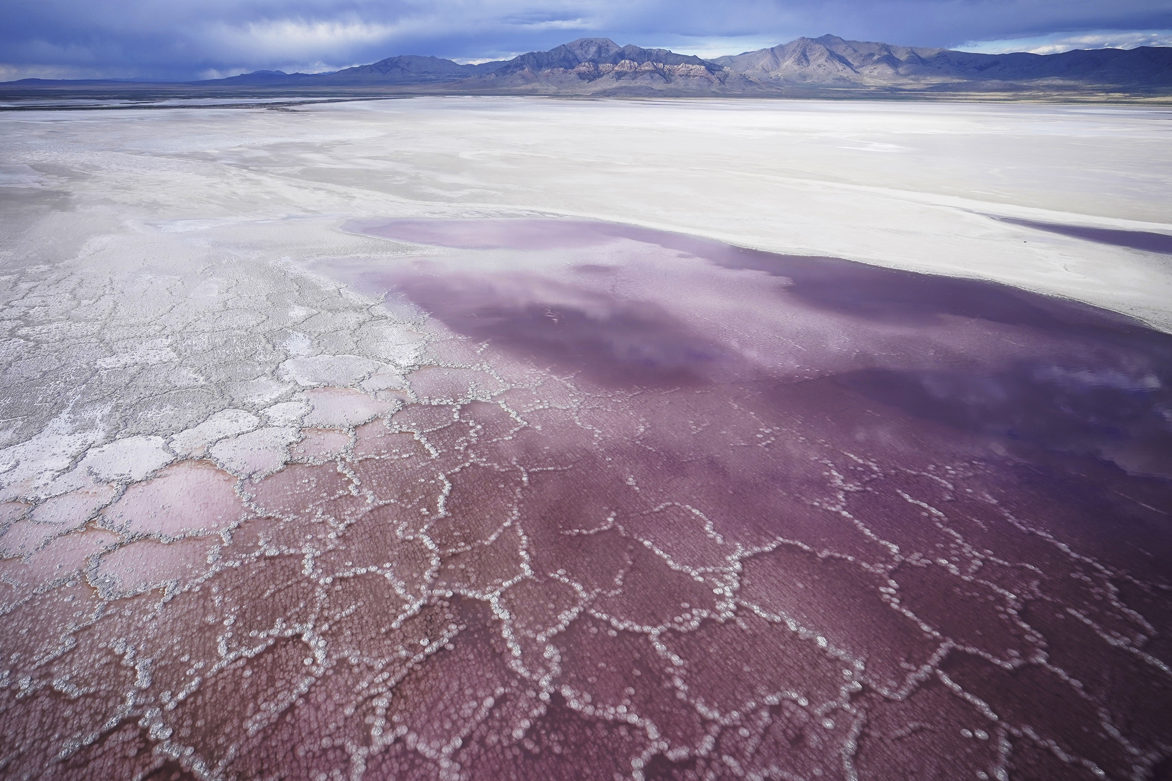 Climate change in 2021 reshaped life on planet Earth through extreme weather