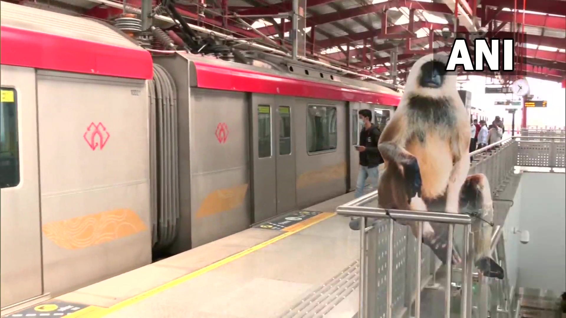 MONKEY METRO