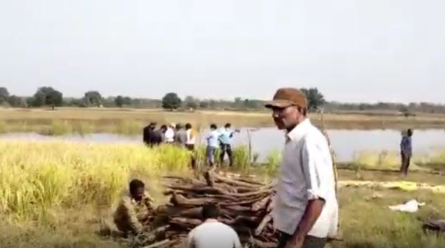 tiger Funeral