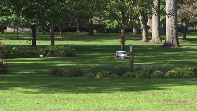 Robot Food Deliveries