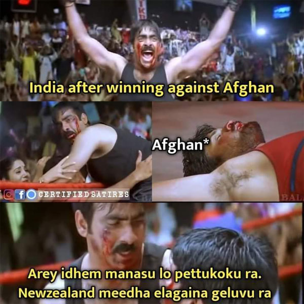 afg vs nz memes