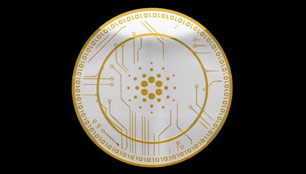 cardano coin