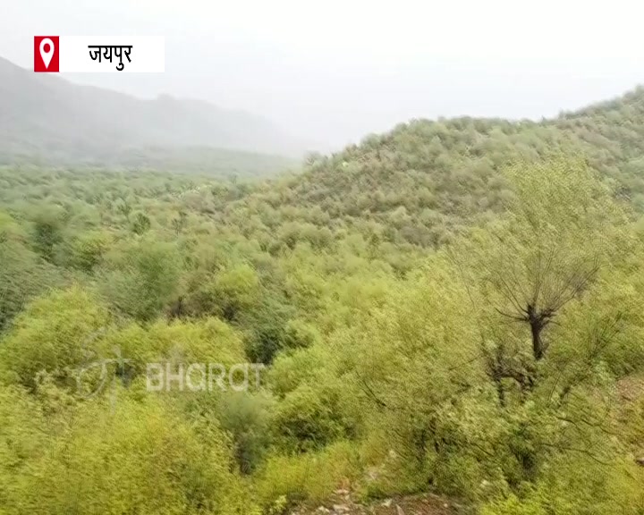 जयपुर का शिश्यावास गांव , Shishyawas village of Jaipu