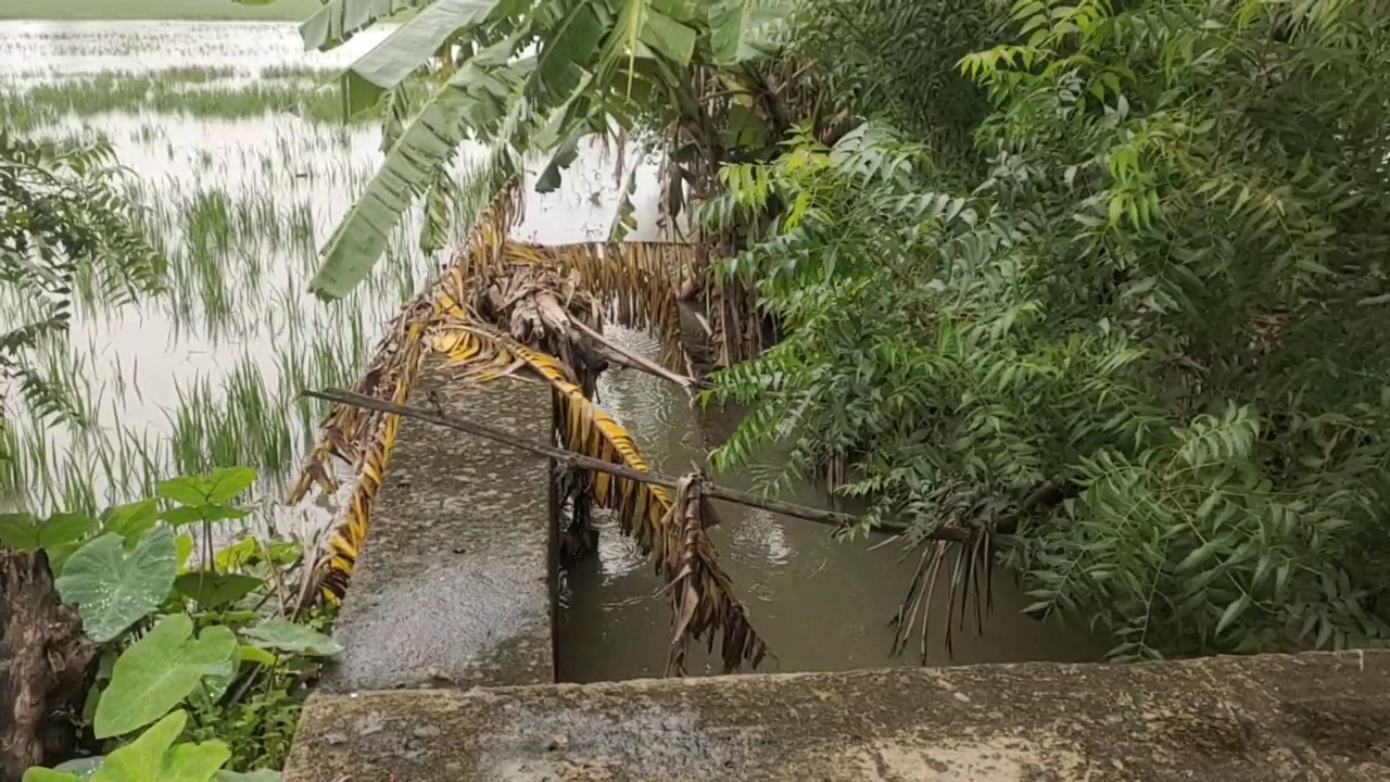 chennai rains