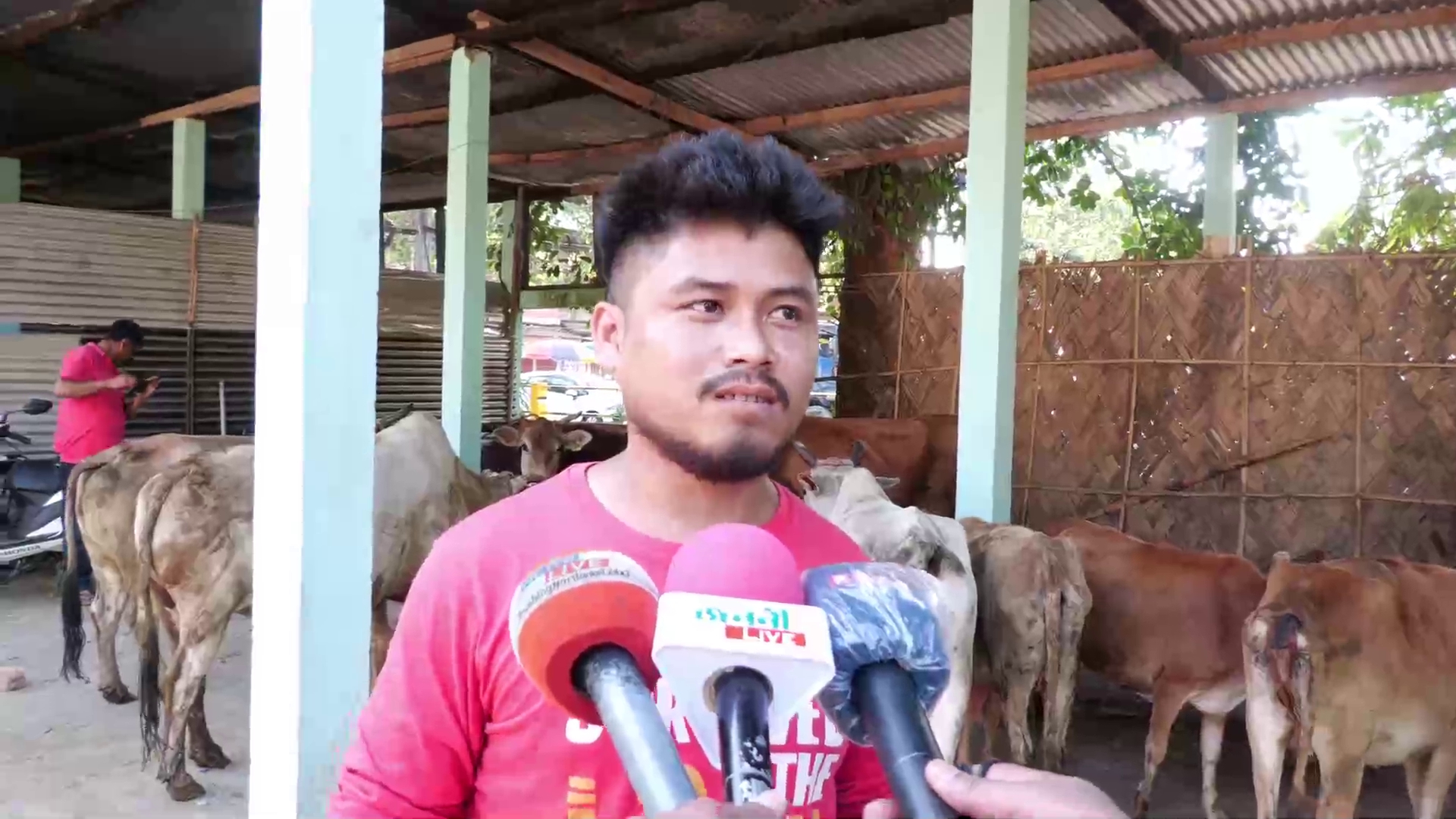 illegal cattle smuggling in golaghat