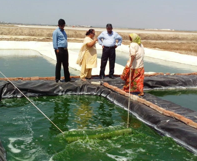 vishal-kumar-gupta-made-bio-petrol-diesel-from-algae-plants-in-ranchi