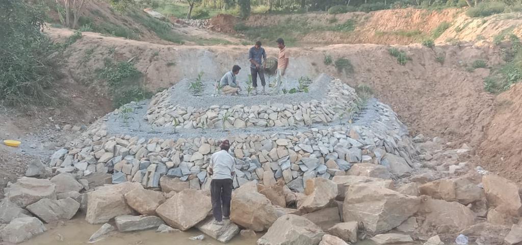 lake-water-purification-in-a-natural-model-in-bangalore