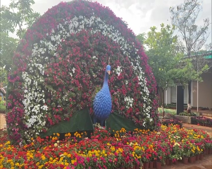 flower park in Nashik