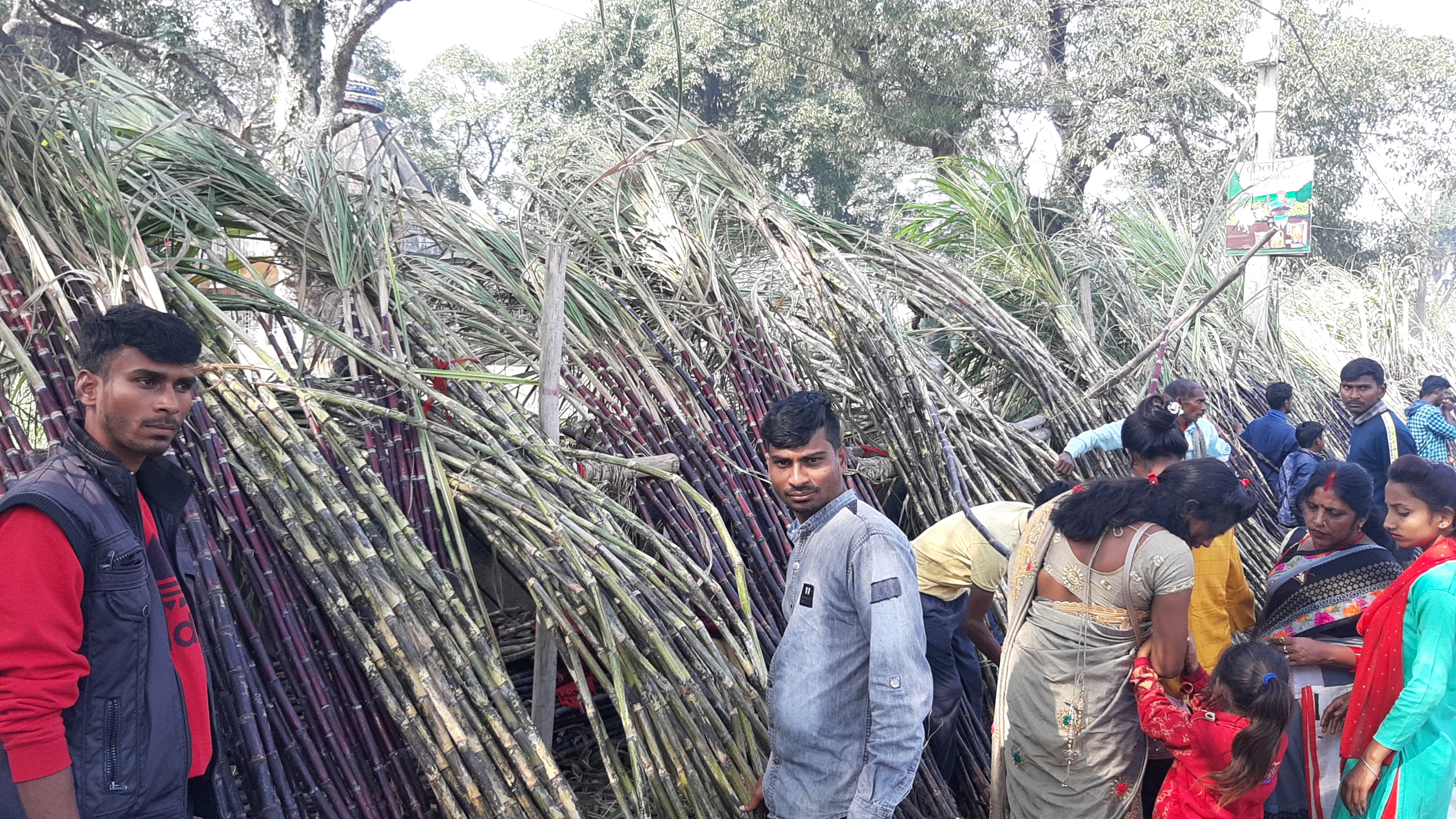 Narsingh Mela