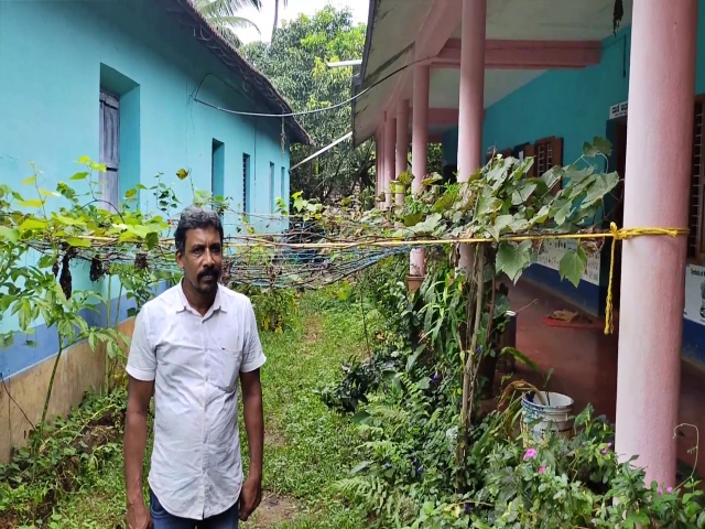 school garden