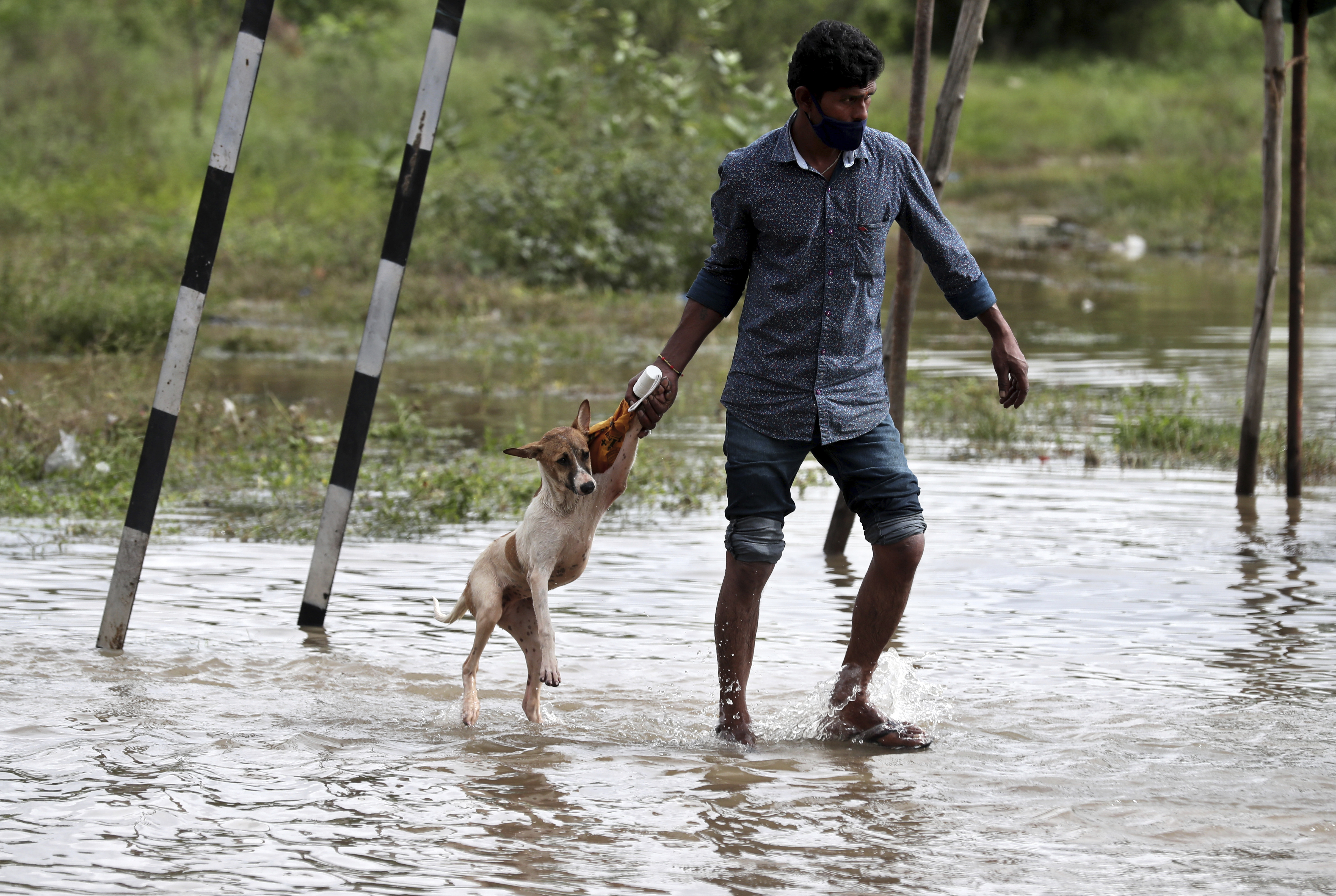 కర్ణాటక వరదలు, Karnataka Rains