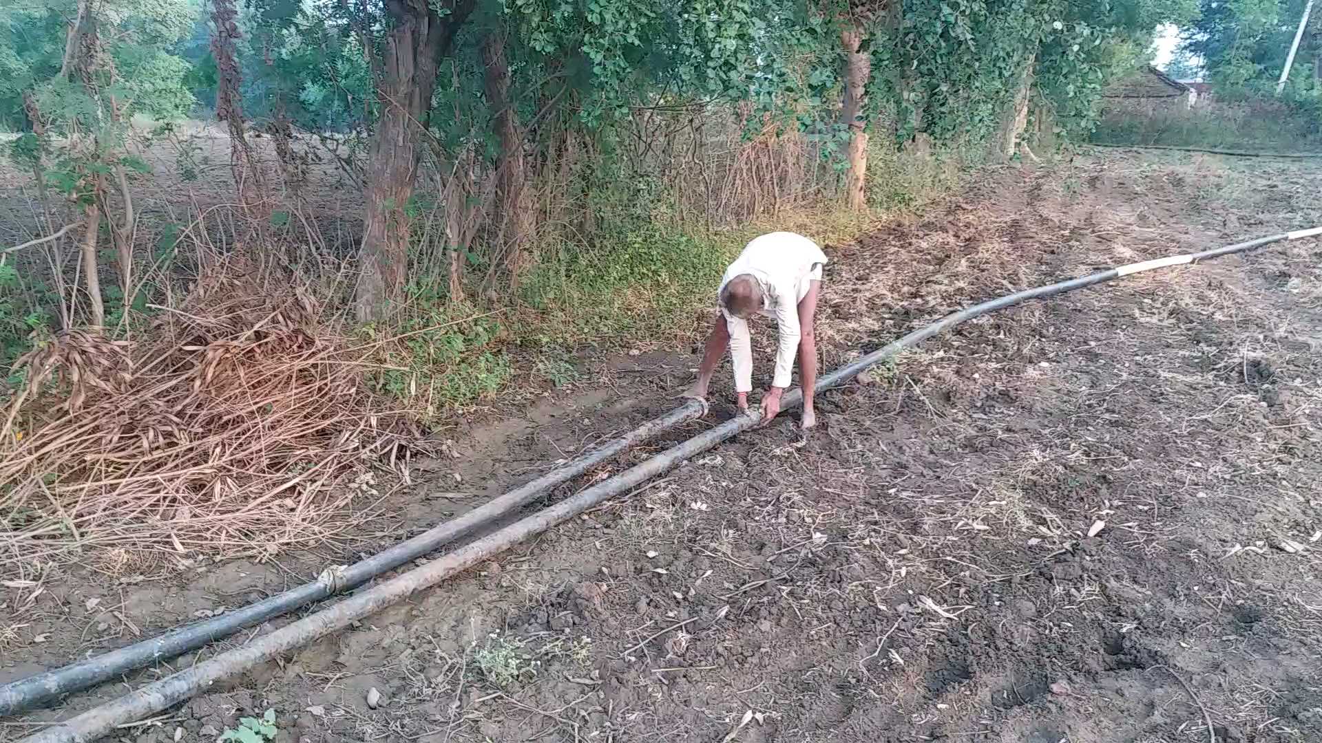 madhya pradesh में drought की आहट