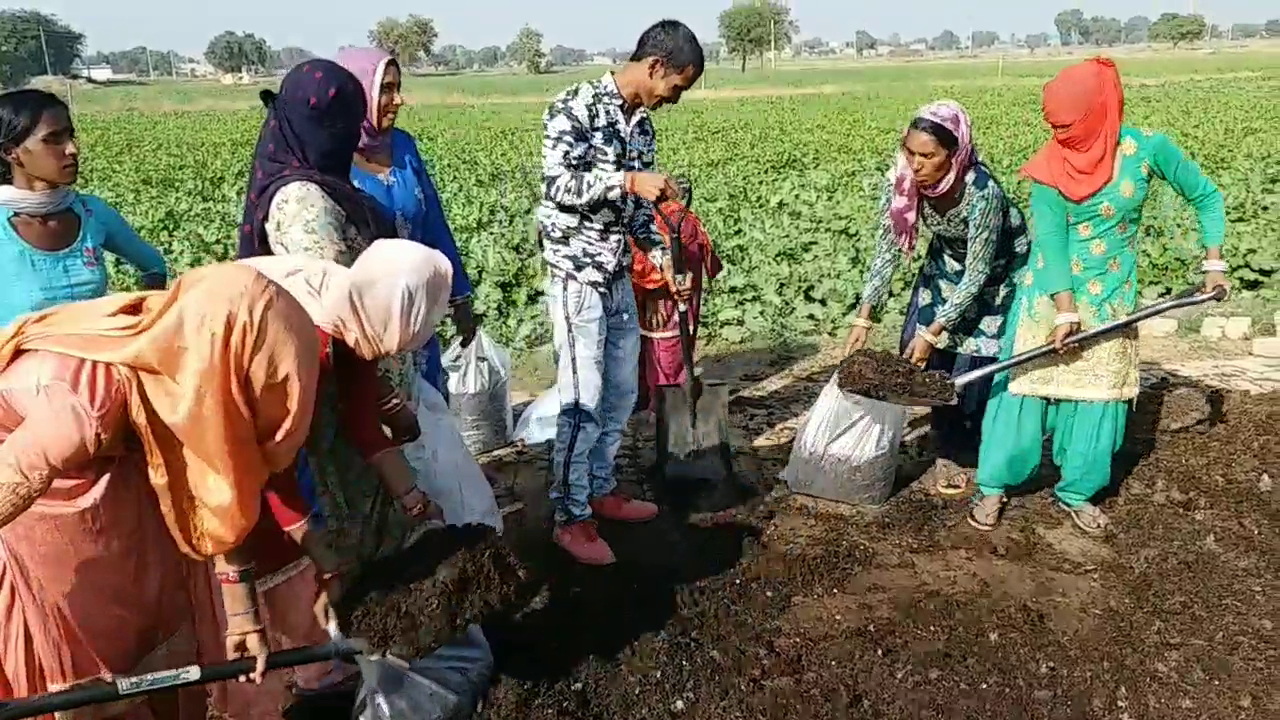 Mushroom farming