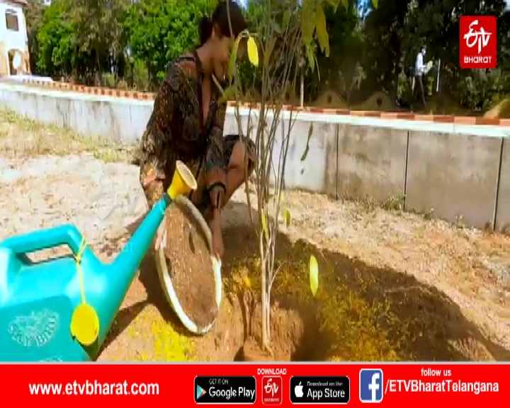 heroine pooja hegde plant a tree part of green india challenge at ramoji film city