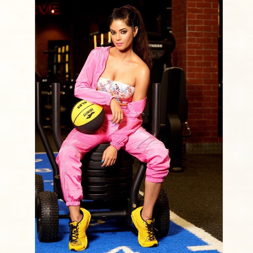 மின்னும் பொன் மீரா