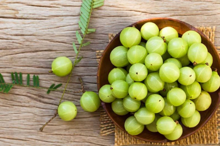 Health benefits of Amla